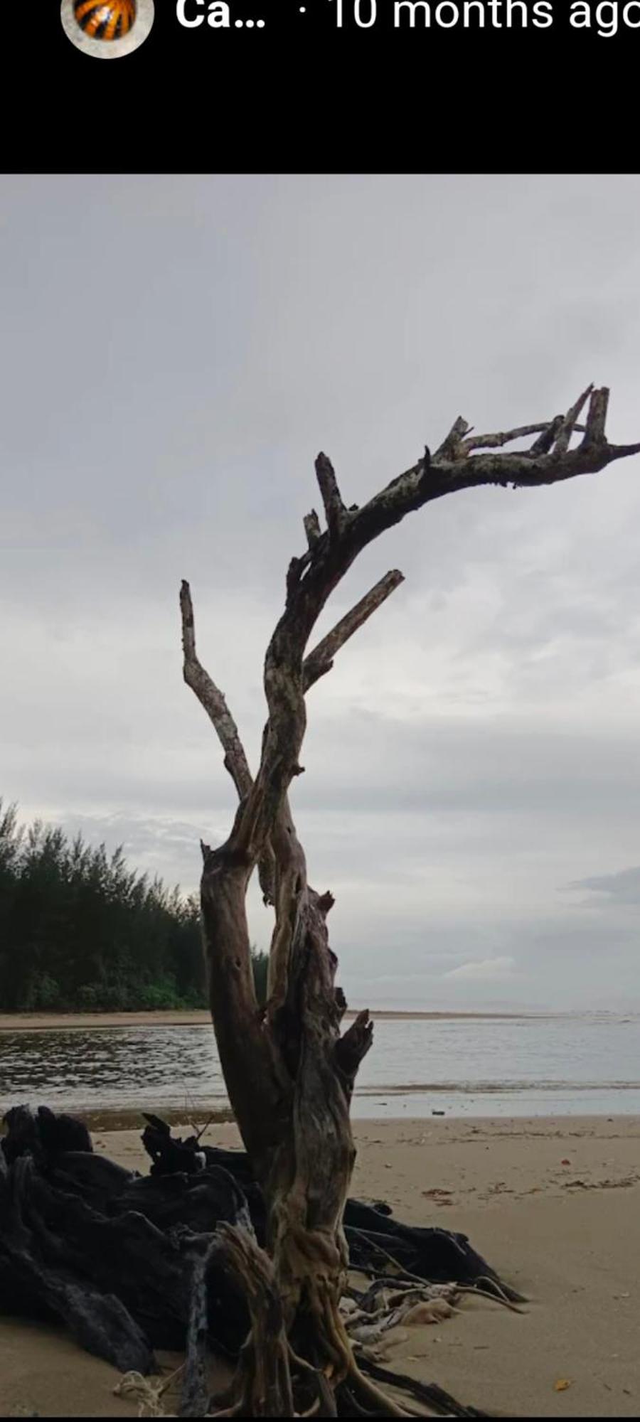 Sematan The Mangrove 빌라 외부 사진