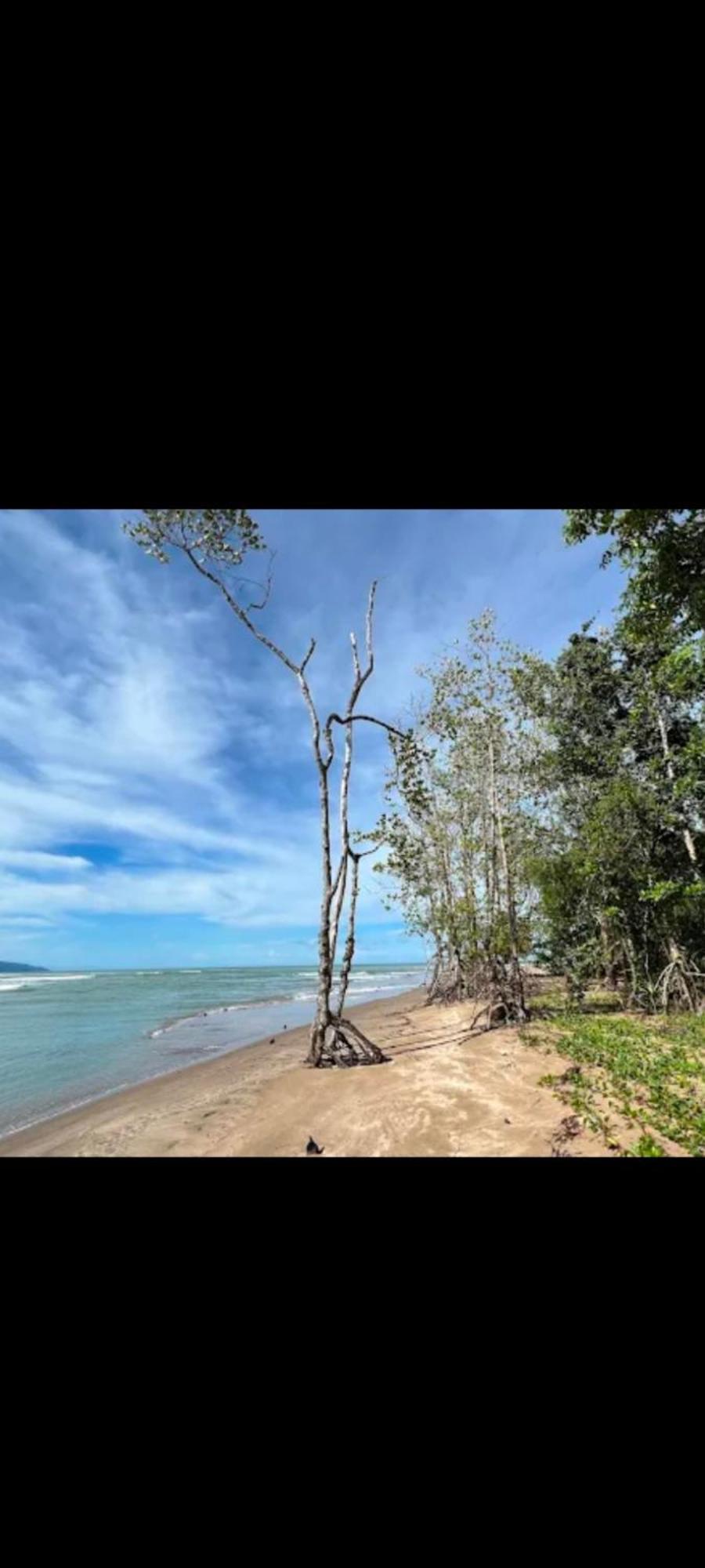 Sematan The Mangrove 빌라 외부 사진
